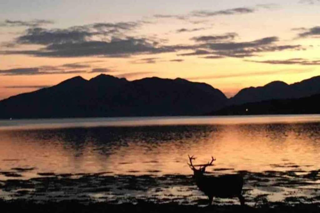 The Fox'S Den, Luxury Cosy Mini Lodge, Highlands North Ballachulish Luaran gambar