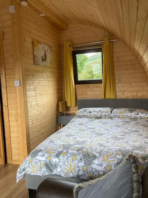 The Fox'S Den, Luxury Cosy Mini Lodge, Highlands North Ballachulish Luaran gambar