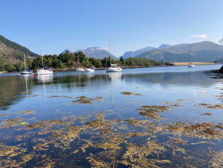 The Fox'S Den, Luxury Cosy Mini Lodge, Highlands North Ballachulish Luaran gambar